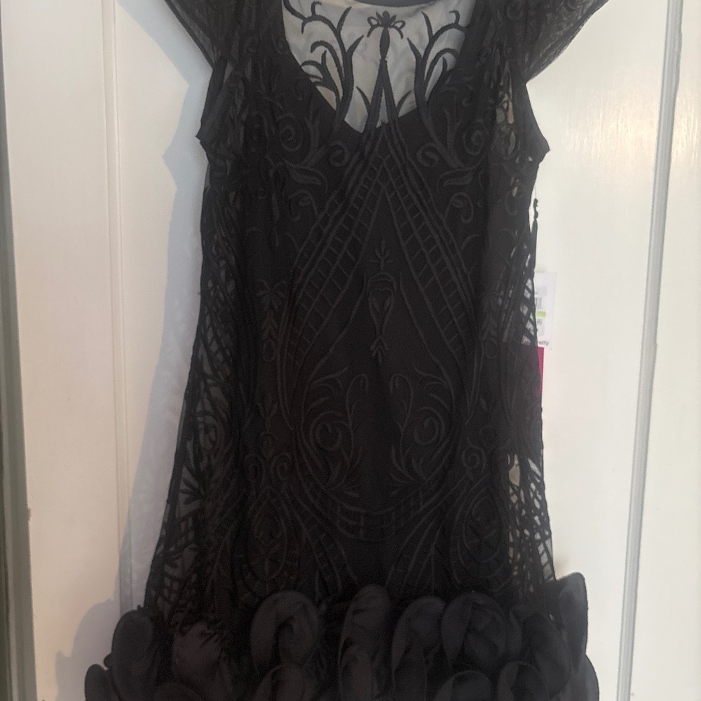 Gorgeous black cocktail dress. Fully lined , never worn.